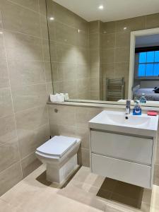 La salle de bains est pourvue de toilettes, d'un lavabo et d'un miroir. dans l'établissement London Regent Studio Apartments, à Londres