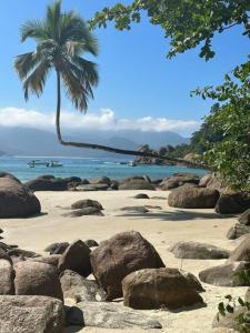 una spiaggia con rocce e una palma e l'oceano di Casa beiramar Provetá IlhaGrande ad Angra dos Reis
