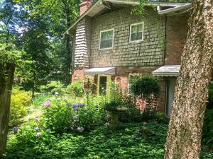 Mary's Place - Studio surrounded by nature but close to High Point外面的花园