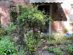 Mary's Place - Studio surrounded by nature but close to High Point外面的花园