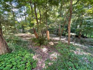 Mary's Place - Studio surrounded by nature but close to High Point外面的花园