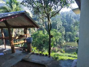 balkon z widokiem na dolinę w obiekcie Rainforest View w mieście Deniyaya