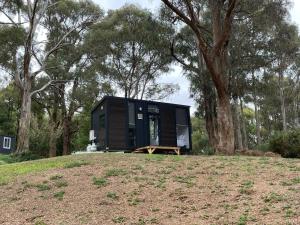 a tiny house on a hill with a tree at Longmore Estate in Daylesford
