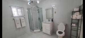 a white bathroom with a shower and a toilet at Hunter's Place - Tim Pappies in Port Antonio