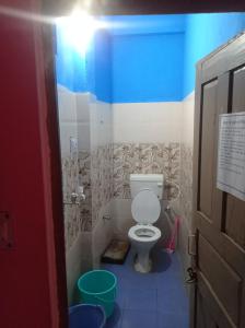 a bathroom with a toilet and blue and white walls at Hotel diyaraj barkot sarukhet in Barkot