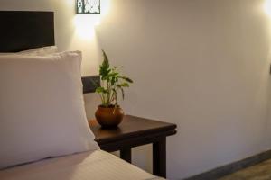 Una habitación con una cama y una mesa con una planta. en Ran Villa en Hiriketiya