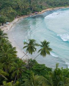 una playa con palmeras y el océano en Ran Villa en Hiriketiya