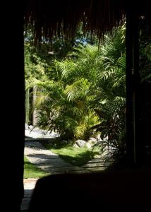 una vista da una finestra di un giardino con palme di Casa MexiBali, Palapa Queen a La Majahua