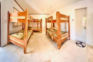 聖胡安的住宿－The Escape San Juan，客房内的一组双层床