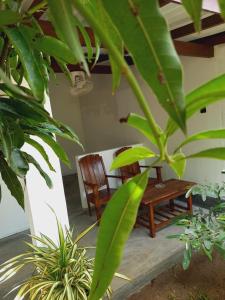 a room with a wooden bench and some plants at JD Resort in Anuradhapura