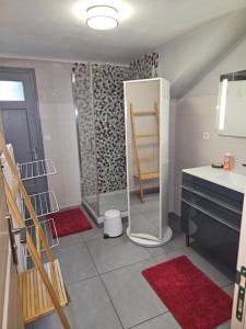 La salle de bains est pourvue d'une douche, d'un lavabo et d'un miroir. dans l'établissement Appartement hyper centre 6 pers., à Chamonix-Mont-Blanc