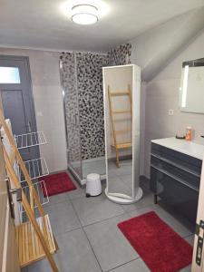 W łazience znajduje się prysznic, umywalka i lustro. w obiekcie Appartement hyper centre 6 pers. w Chamonix-Mont-Blanc +6 zdjęć