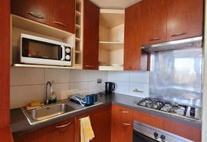 eine Küche mit einer Spüle und einer Mikrowelle in der Unterkunft Barrio Bellas Artes in Santiago