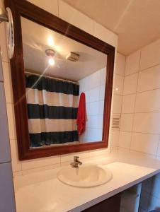 a bathroom with a sink and a mirror at Barrio Bellas Artes in Santiago