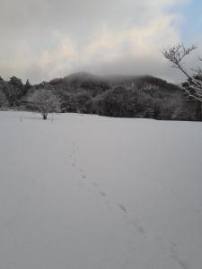 ein schneebedecktes Feld mit Fußabdrücken im Schnee in der Unterkunft Tanehachi Farm Guesthouse - Vacation STAY 29709v in Aomori