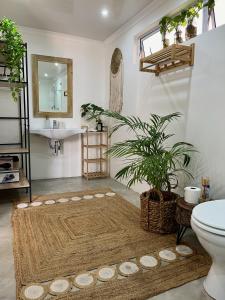 a bathroom with a toilet and a potted plant at The Boshoff in Durban