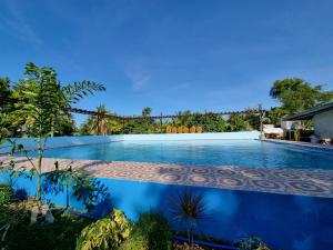 a large swimming pool with blue water and plants at Yemaya de Laiya powered by Cocotel in Biga