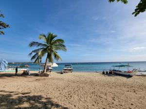 a beach with a palm tree and a boat on it at Yemaya de Laiya powered by Cocotel in Biga
