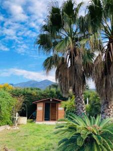 eine kleine Hütte mit zwei Palmen auf einem Feld in der Unterkunft Villa 3* piscine vue montagne proche mer & Espagne in Le Boulou