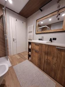 a bathroom with a sink and a mirror at Alpen Lodge Premium Apartment in Mezzana