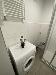 una lavatrice con una pianta sopra di ZUR SCHLEUSE - Ferienwohnung bis 6 Personen mit gem Garten a Rostock Altre 8 foto