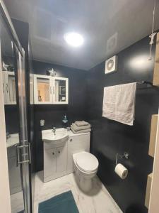 a bathroom with a toilet and a sink at Adorable 1-bedroom entire place with free parking in Cambridge