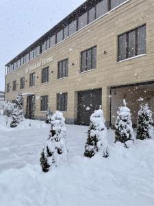Palermo Hotel talvel