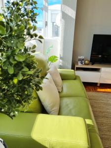 eine grüne Couch in einem Wohnzimmer mit Pflanze in der Unterkunft Dehesa Centro in Soria