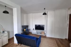 ein Wohnzimmer mit einem blauen Sofa und einem TV in der Unterkunft Logement spacieux rénové, calme et proche du métro in Villeurbanne