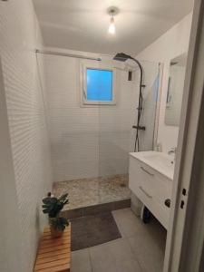 y baño con ducha y lavamanos. en Logement spacieux rénové, calme et proche du métro en Villeurbanne