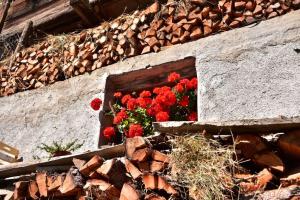 Fotografie z fotogalerie ubytování Tratterhof Apt Astjoch v destinaci Vandoies