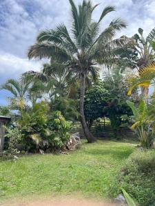 Zahrada ubytování Villa Ô Pieds Nus 180m2 4 chambres piscine jardin tropical parking privé