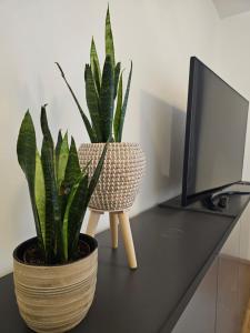 a desk with two potted plants and a computer monitor at HIGH CLASS - Design Apartment - Favorite Place - Full Equipment - Public Transport in Nürnberg