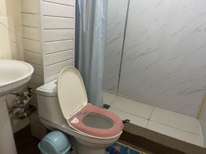 a bathroom with a pink toilet and a shower at Gana's Guest House and Tours in Ulaanbaatar