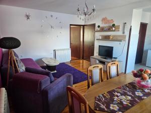 TV a/nebo společenská místnost v ubytování Apartmani NINA Zlatar