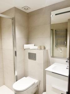 Koupelna v ubytování Apartamento Mirador Encamp