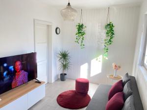 a living room with a couch and a flat screen tv at Gotthard House in Lugano