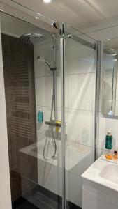 a glass shower in a bathroom with a sink at Hotel de Pergola in Giethoorn