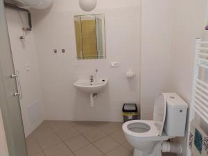 Baðherbergi á Apartmány Dalov