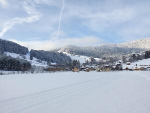 ein schneebedecktes Feld mit Häusern in der Ferne in der Unterkunft Ferienwohnung Hochtal in Bernau im Schwarzwald