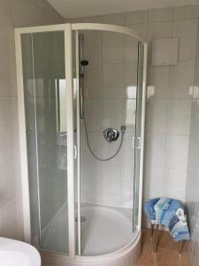 een douche met een glazen deur in de badkamer bij Schneiderhof in Seefeld in Tirol