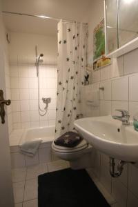 a bathroom with a sink and a toilet and a shower at Möwennest am Twedter Holz in Flensburg