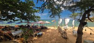 una spiaggia con sedie e ombrelloni e l'oceano di Boonsong Guest House a Khao Tao