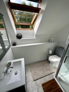 an attic bathroom with a sink and a toilet at Awakening Alchemy Retreat Centre in Inverurie