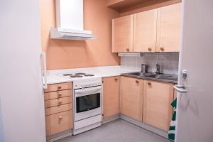 a small kitchen with a stove and a sink at Hotelli Tiiliriihi in Espoo