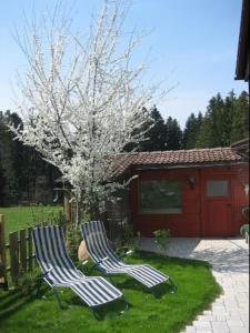 Zahrada ubytování Haus Biggi - Ferienwohnung Pfänder