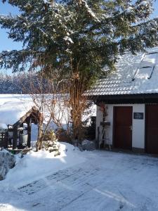 a snow covered house with a tree next to it at Haus Biggi - Ferienwohnung Hochgrat in Weiler-Simmerberg