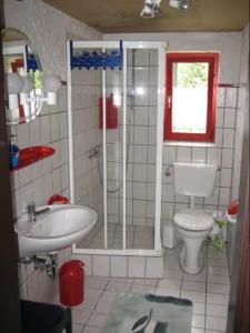 a bathroom with a shower and a sink and a toilet at Haus Biggi - Ferienwohnung Hochgrat in Weiler-Simmerberg