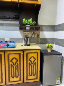 Kuchyň nebo kuchyňský kout v ubytování Luxury house in cairo with a view