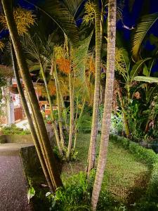 Zahrada ubytování Ardan Maison Ubud